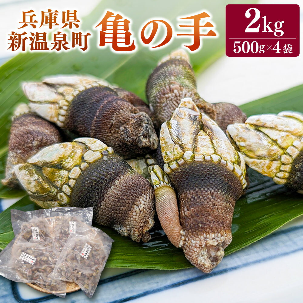 【ふるさと納税】亀の手 500g×4袋 合計2kg カメノテ かめのて ペルセベス 珍味 希少 味噌汁 みそ汁 吸い物 お吸い物 酒蒸し 塩茹で 説明書き付き 海鮮 冷凍 お取り寄せ【配送不可地域：離島】【1089878】【2025年6月中旬発送開始予定】兵庫県 新温泉町 送料無料