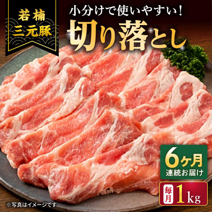 【ふるさと納税】【6回定期便】若楠三元豚 切り落とし 1kg（250g×4パック）/ナチュラルフーズ[UBH075] ブランド豚 三元豚 細切れ 小分け