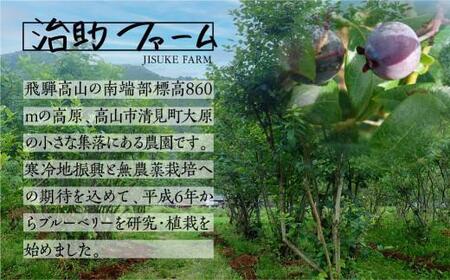 【通常配送】標高860mの高原で育ったブルーベリー(冷凍）2パック(380g×2） 国産 ブルーベリー 760g ｜ フルーツ おやつ 製菓 冷凍 果物 冷凍フルーツ 発送時期が選べる 治助ファーム 