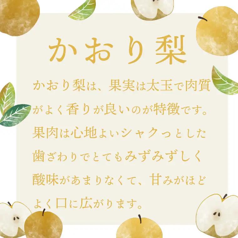 【数量・期間限定】かおり梨 約5kg 9月上旬発送  梨 