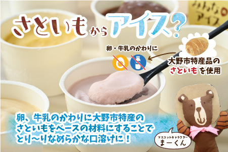みんなのアイス 12個セット（ 卵・牛乳・小麦等アレルギー特定原材料8品目不使用のアイス ） [A-031004]