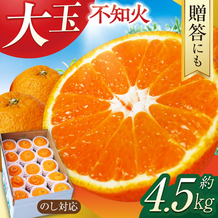 【ふるさと納税】【贈答】【大玉】不知火 約4.5kg（13〜15個）ー3月中旬～4月中旬頃に発送ー 長与町/彩咲果樹園 ［ECM001] 不知火 デコポン 柑橘 ミカン みかん フルーツ ジューシー 甘い 濃厚 高糖度 果汁 常温 贈答品 プレゼント 大玉 国産 手作業 厳選 長与 数量限定