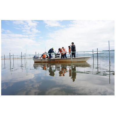 ふるさと納税 近江八幡市 西の湖「琵琶パール」ネックレス |  | 03