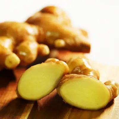 生姜 小分け 100g×5袋　高知県産 しょうが 国産 囲い生姜 使い切りサイズ 低農薬 お試し