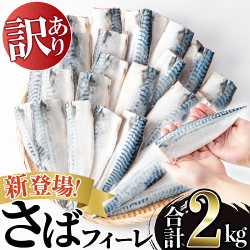 No.1383-B  訳あり！無塩とろさばフィーレ(約2kg) 干物 さば サバ 鯖 魚介類 魚 訳アリ 人気 フィレ 不揃い 冷凍 切り身 切身 おかず 惣菜 お弁当 無塩 便利 【みのだ食品】