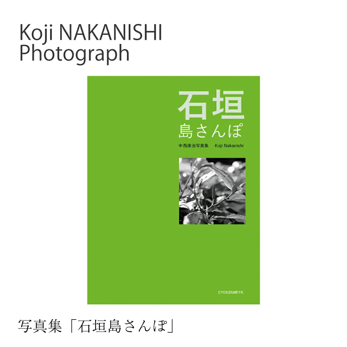 【ふるさと納税】写真集「石垣島さんぽ」 NN-24