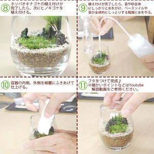 はじめての苔テラリウムにピッタリの作成キット★作り方動画付 NKK0008