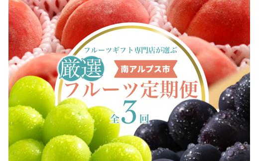 ＜2026年発送先行予約＞フルーツギフト専門店が選ぶ南アルプスの厳選フルーツ定期便　全3品種（桃・黒ぶどう・シャインマスカット） ALPAH055