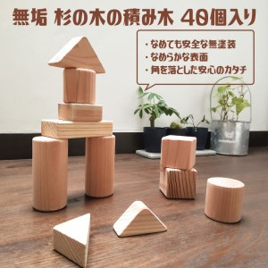無垢　杉の木の積み木 40個入り ≪日本製 木製 子供 キッズ 知育 国産≫ DSR027