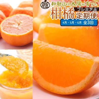 ふるさと納税 広川町 【発送月固定定期便】厳選 柑橘定期便M(4〜6月)全3回