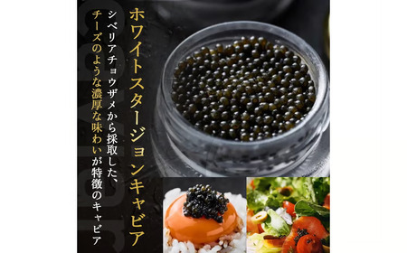 キャビア 皇帝の涙 ホワイトスタージョンキャビア 20g 