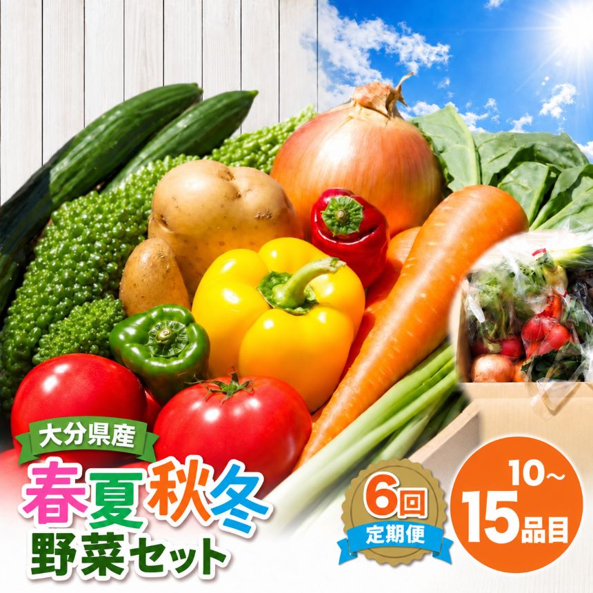 【ふるさと納税】【6ヶ月定期便】九州野菜セット 大分県 春夏秋冬野菜セット10〜15品×6回 毎月1回 | JA直売所直送野菜 新鮮 産地直送 送料無料