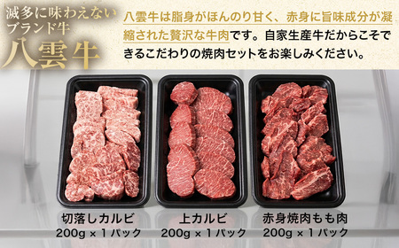 【ふるなびWEEK対象】八雲牛 焼肉セット 総重量 600g 牛肉 もも カルビ 切り落とし 赤身