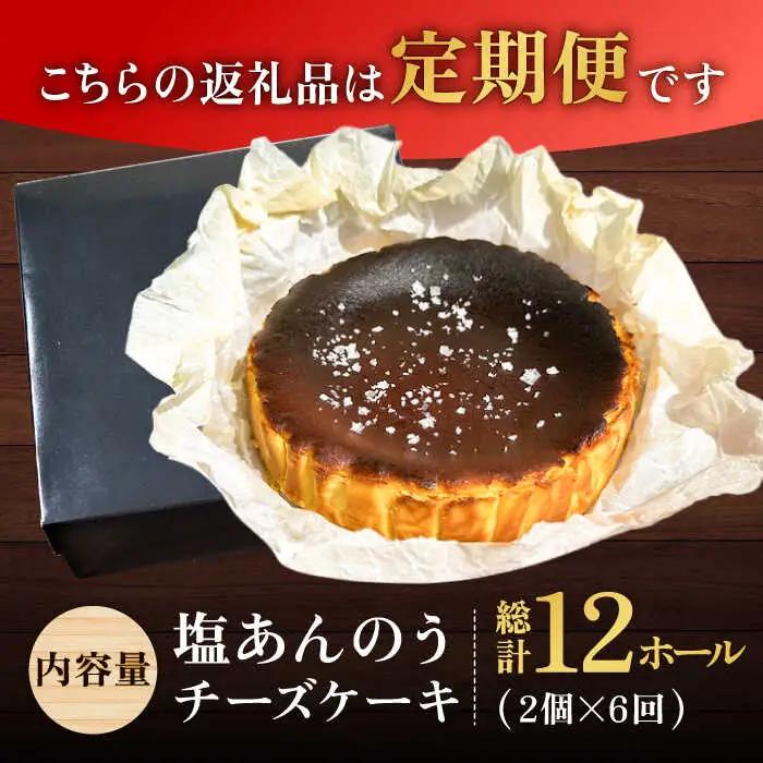 【全6回定期便】チーズケーキ 塩あんのう 2個 ケーキ 塩 芋 スイーツ お菓子 菓子[RBA021] チーズケーキ 定期便 チーズケーキ 定期便 チーズケーキ 定期便 チーズケーキ 定期便九州 長崎