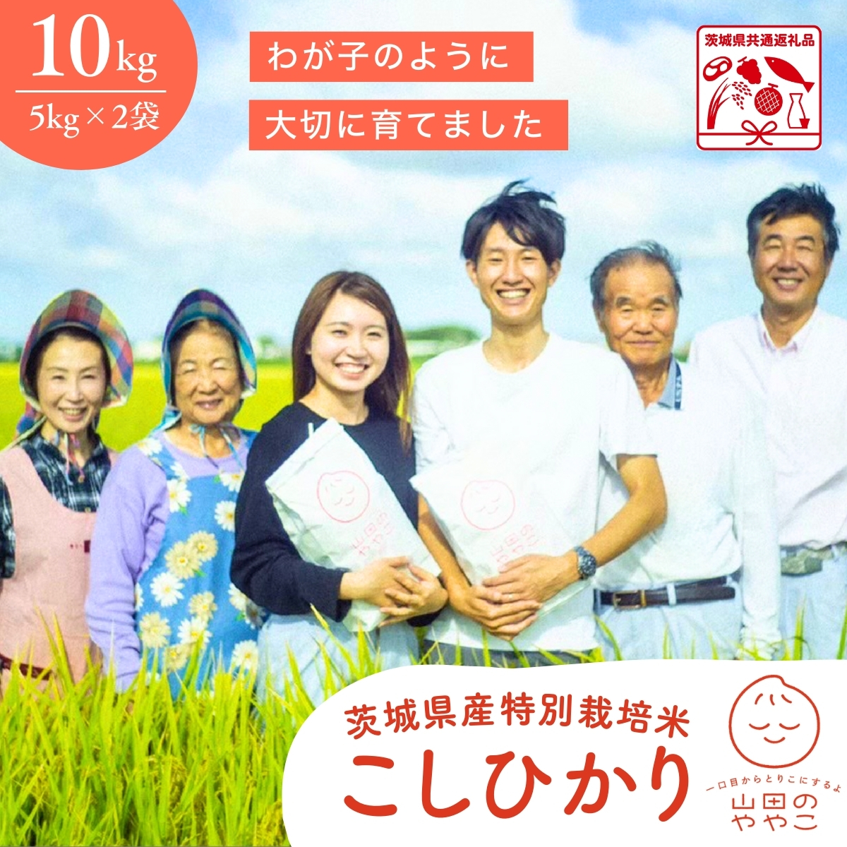 令和７年産新米 特別栽培米 コシヒカリ 10kg 山田のややこ | コシヒカリ こしひかり 特別栽培米 減農薬 冷めてもおいしい お弁当 特別栽培認証 茨城県産 茨城県 龍ケ崎市【茨城県共通返礼品・河内町産】
