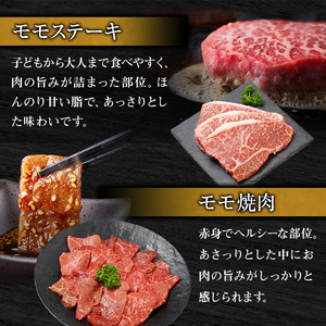 神戸牛 帝神 おまかせ コースA 神戸ビーフ 神戸牛