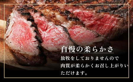 トマホーク ステーキ 700g (350g × 2枚 ) 骨付きステーキ ステーキ 赤身 冷凍  短角 和牛 宮城県 石巻 石巻市 うしちゃんファーム ステーキ ステーキ ステーキ ステーキ ステーキ