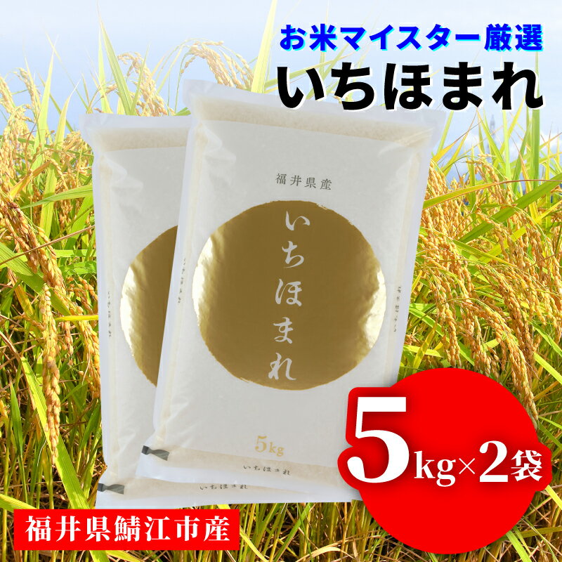 【ふるさと納税】【楽天限定！30袋限定販売！！】 ※令和6年産※ いちほまれいちほまれ [C-02015] / お米 精米 白米 小分け 便利 ごはん コメ ブランド米 人気 品種 特A 10kg こしひかり コシヒカリ