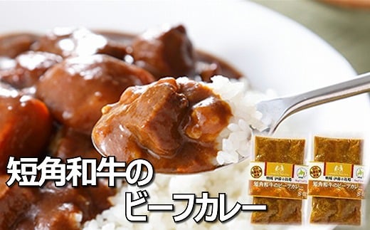 A-43017【12/10まで年内配送】 【北海道根室産】短角和牛のビーフカレー4P