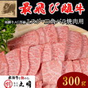 【ふるさと納税】【最飛び雌牛】飛騨牛A5等級ミスジ・三角バラ焼肉用　300g【配送不可地域：離島】【1520158】