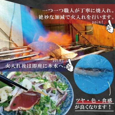 ふるさと納税 四万十市 魚市場の目利きが厳選!本場高知のカツオのタタキ 約350〜400g(節・タレ付き・血合い抜き) |  | 03