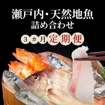 ふるさと納税 三原市 【3か月定期便】瀬戸内産 鮮魚 地魚詰め合わせ(3〜5種類)計3回お届け [154-009]