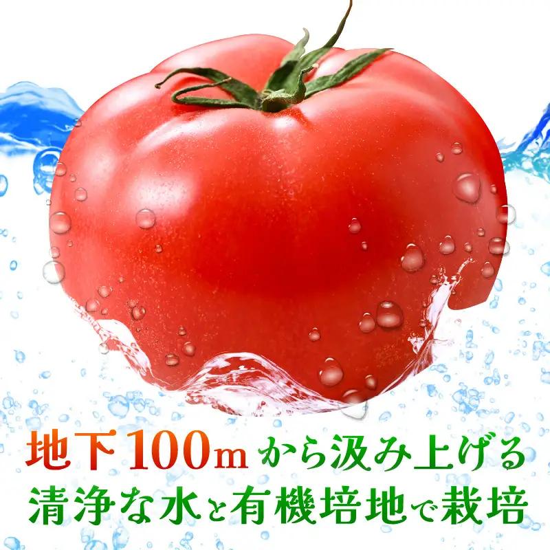 新鮮トマト 1ケース 約4㎏ (16～24玉入) とまと [A-2606]
