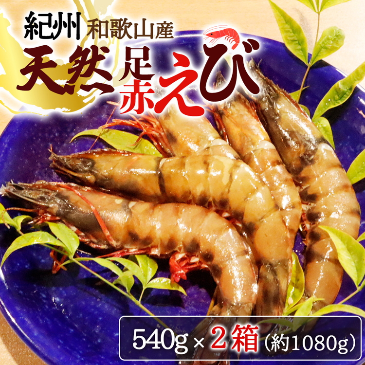 紀州和歌山産天然足赤えび540g×2箱（270g×4パック）　化粧箱入<br><br>※着日指定不可<br><br>※2024年11月上旬〜2025年2月下旬頃に順次発送予定