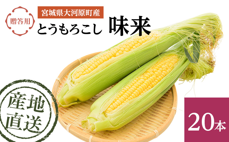 とうもろこし 味来 贈答用 20本 トウモロコシ 宮城県産 甘い 夏 朝採れ 産地直送 宮城県 大河原町