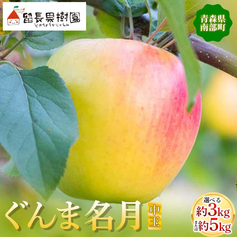 【ふるさと納税】 《選べる容量》ぐんま名月（中玉） 約3kg・約5kg 【留長果樹園】 青森りんご りんご リンゴ 林檎 アップル ぐんま名月 フルーツ 果物 くだもの あおもり 青森 青森県 南部町 三戸 南部 F21U-215var