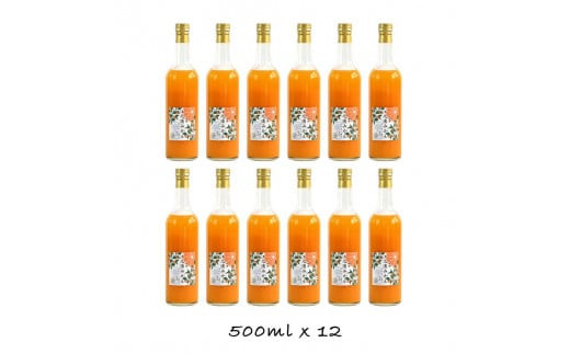 小田原産江之浦みかん１００％ストレートジュース５００ml１２本 142069_GJ009