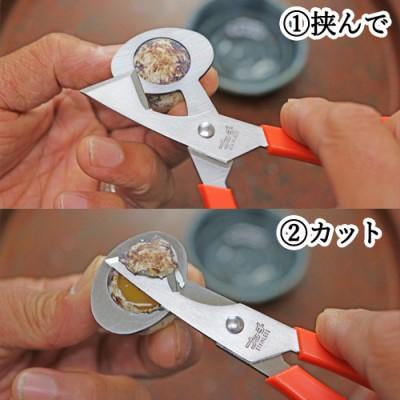 ふるさと納税 関市 うずら卵割器 プッチ |  | 01