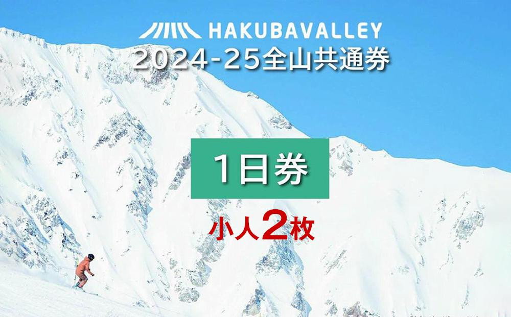 
            2024-2025 Hakuba Valley 全山共通1日券 小人2枚
          