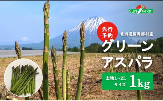 
                  【先行予約】グリーンアスパラ 太物 L～2Lサイズ 1kg オンライン 申請 ふるさと納税 北海道 留寿都 アスパラ アスパラガス 野菜 春 旬野菜 季節野菜 産地直送 新鮮 採れたて サラダ おかず グラタン 肉巻き 1キロ 留寿都村【24002】
                