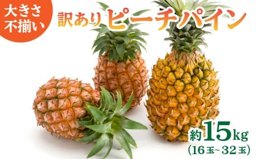 訳あり 不揃い 2026年 先行予約 ピーチパイン 約15kg 16～32玉 "いってＱ"でも紹介された 西表島ひらい農園 濃密 パイン 果物 パイナップル フルーツ