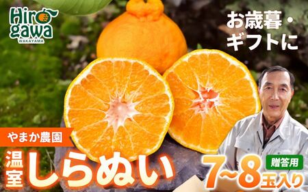 温室 不知火 （ しらぬい ） 3kg（7〜8玉）化粧箱入 / デコポン ハウス栽培 甘い 和歌山 柑橘 お歳暮 ※2026年11月下旬〜2026年12月下旬に順次発送 【ymk006-p-3A】