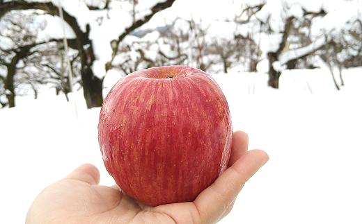 【令和6年産先行予約】 雪んこ 完熟ふじりんご 約10kg バラ詰め 《令和7年1月上旬～発送》 【全国りんご選手権 銀賞】 『船中農園』 りんご リンゴ ふじ ふじりんご 完熟 果物 フルーツ デザ