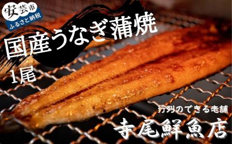 うなぎ蒲焼 国産 1尾 冷凍 タレ付き