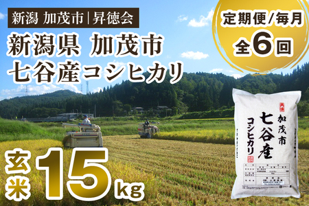 【令和6年産新米先行予約】【定期便6ヶ月毎月お届け】新潟県加茂市 七谷産コシヒカリ 玄米15kg（5kg×3） 高柳地域産数量限定 昇徳会