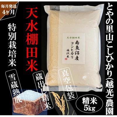 ふるさと納税 南魚沼市 【毎月定期便】とやの里山継承プロジェクト対象【天水棚田米】雲海望む山間地産こしひかり精米5kg全4回