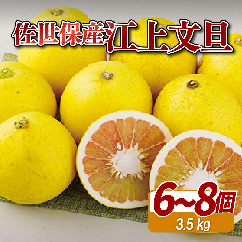 【ふるさと納税】 江上文旦 3.5kg 贈答用 ギフト お歳暮 のし対応 果物 柑橘 文旦 ジューシー 川上文旦堂 長崎県 佐世保市