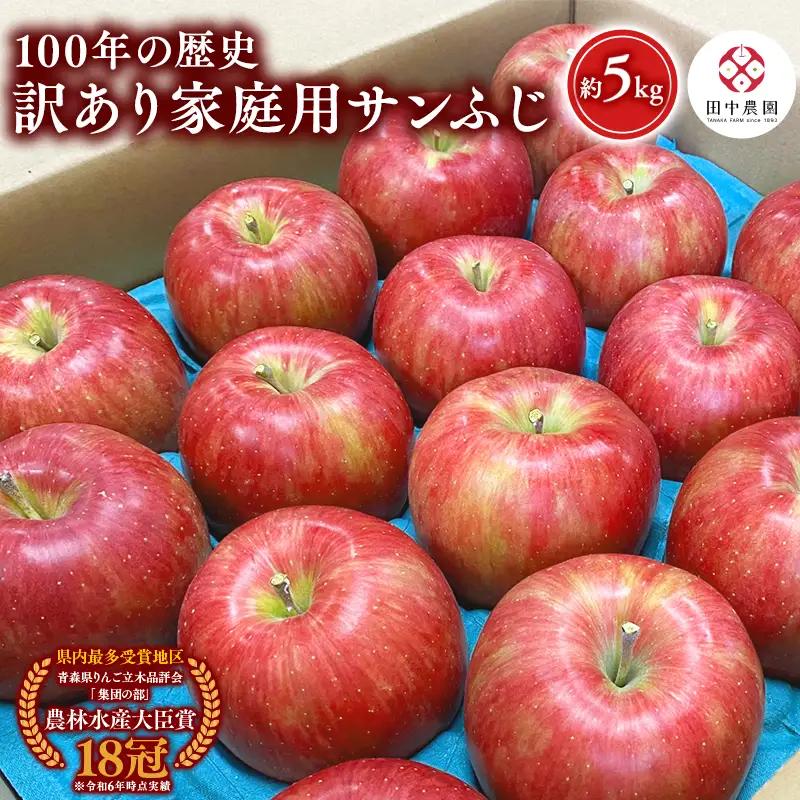 りんご 家庭用サンふじ 約5kg 青森県平川市産[hi-0039-007]