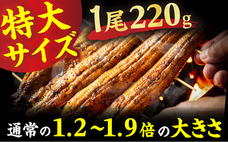 【6回定期便】中国産ニホンウナギ　特大蒲焼（220g×2尾） 広川町 / イールファクトリー株式会社[AFBS007]