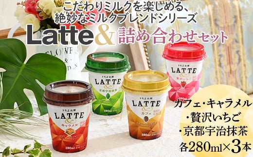 
										
										こだわりミルクを楽しめる、絶妙なミルクブレンドシリーズ Latte＆詰め合わせセット ※着日指定不可 | ラテ キャラメルラテ いちごラテ 抹茶ラテ ミルクラテ らて 珈琲 コーヒー coffee おいしい カップ ドリンク 飲料 ラテアンド トモエ乳業 トモヱ乳業 ともえ乳業 ミルク 甘い ほろ苦い 甘酸っぱい まろやか 宇治抹茶 セット ブレンド キャラメルソース 茨城県 古河市 _DT02
									