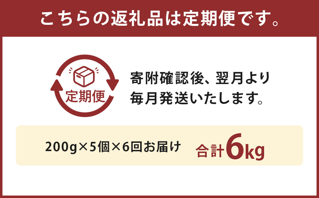 【6ヶ月定期便】黒樺牛ビーフカレー 200g×5パック