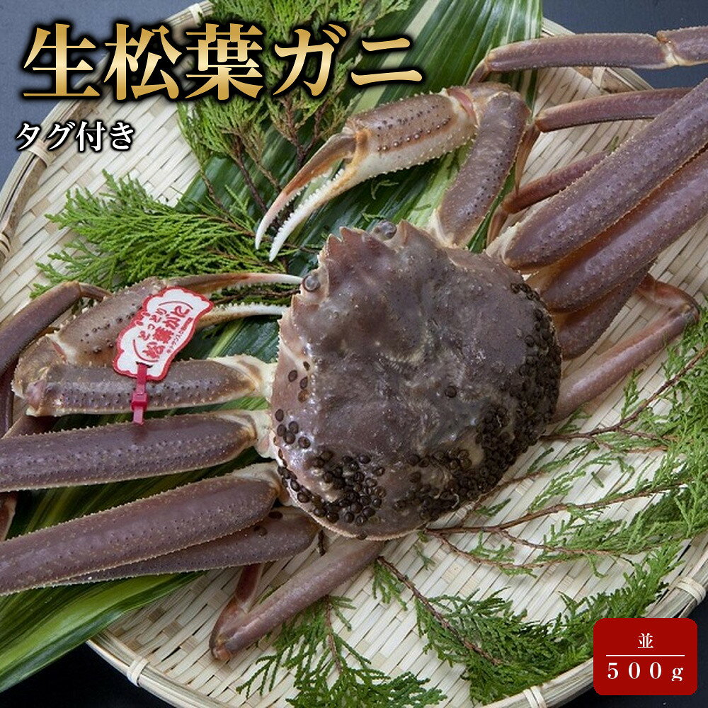【ふるさと納税】【魚倉】タグ付き生松葉ガニ(並500g) | 国産 タグ付き ズワイガニ 松葉ガニ カニ 蟹 かに 生 カニ鍋 かに鍋 鍋 かにしゃぶ かにみそ 期間限定 送料無料 鳥取県 三朝町