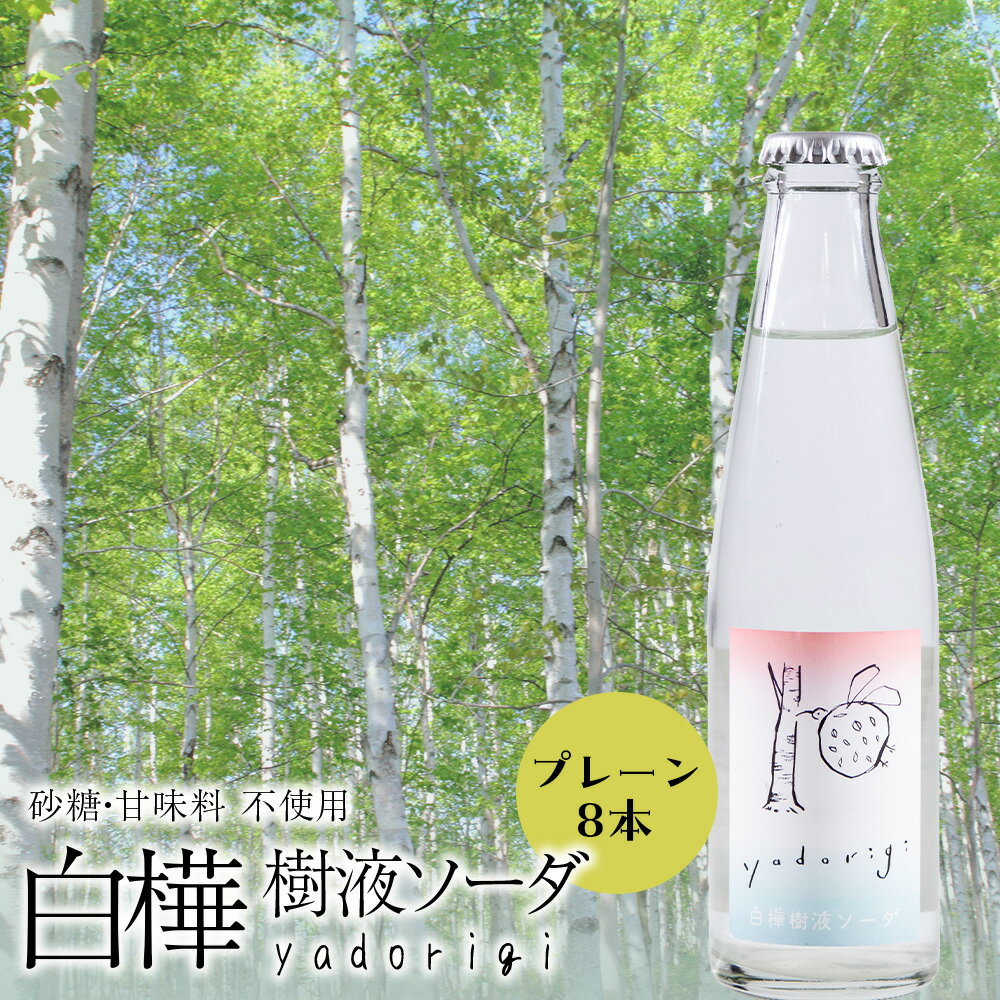 【ふるさと納税】白樺樹液ソーダyadorigi（プレーン）8個ソーダ 炭酸飲料 ソフトドリンク 炭酸 樹液 飲料類 炭酸飲料 北海道ふるさと納税 ふるさと納税 北海道 黒松内町 通販 ギフト 贈答品 贈り物