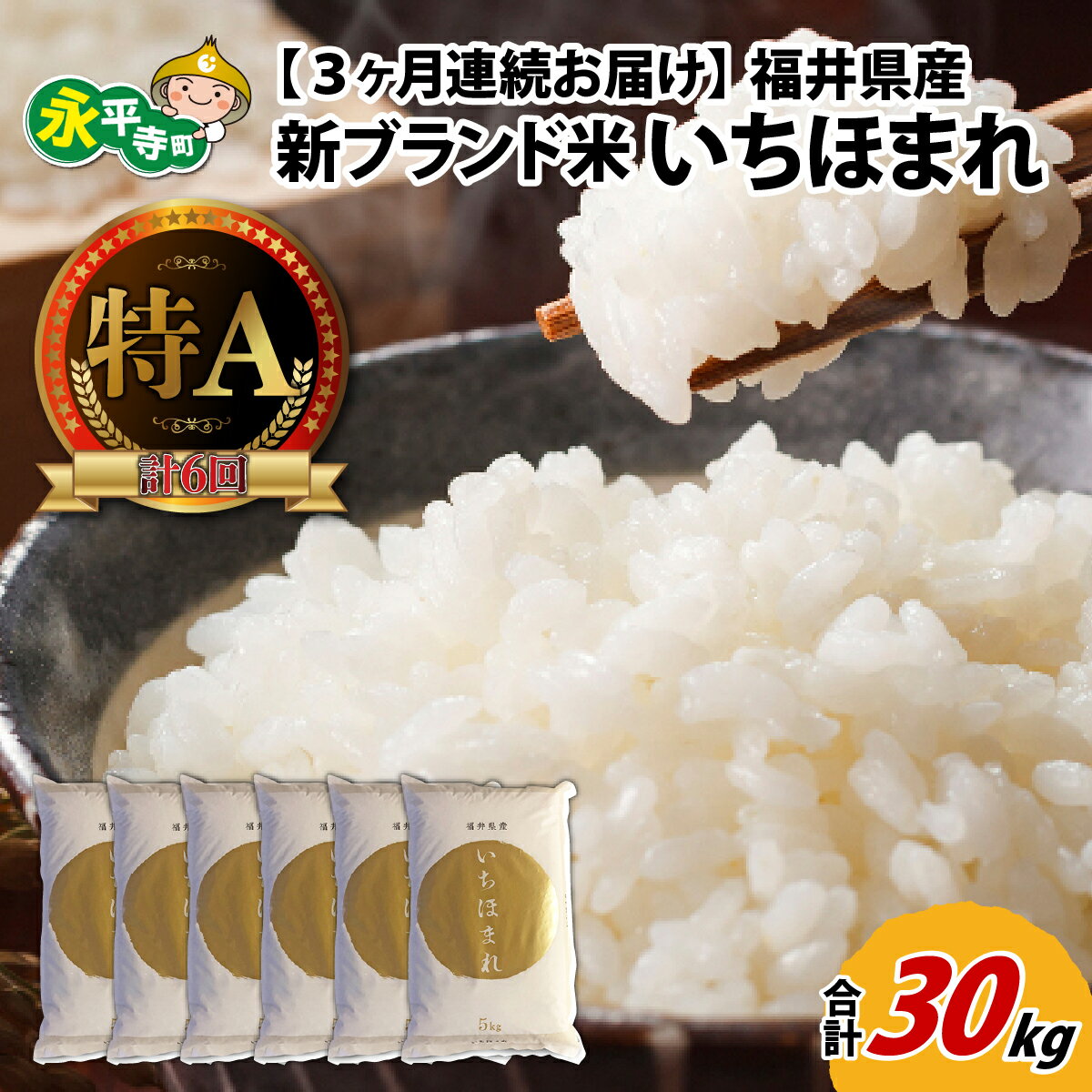 【ふるさと納税】【3ヶ月連続お届け】令和7年度産 福井県産新ブランド米 いちほまれ 10kg（5kg×2袋）×3ヶ月（計30kg） / 白米 精米 ご飯 ごはん 定期便