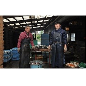 削りたてをお届け!「房州さば節」 1.3kg【1397020】