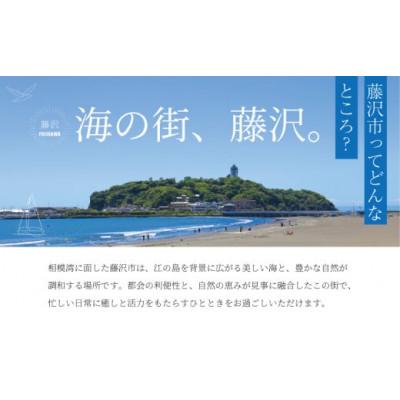 ふるさと納税 藤沢市 1切れ約130g!大きな漬け魚 西京漬け 8切 |  | 03
